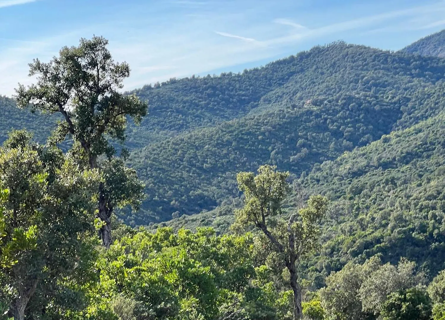 Villa Les Cypres Roquebrune-sur Argens