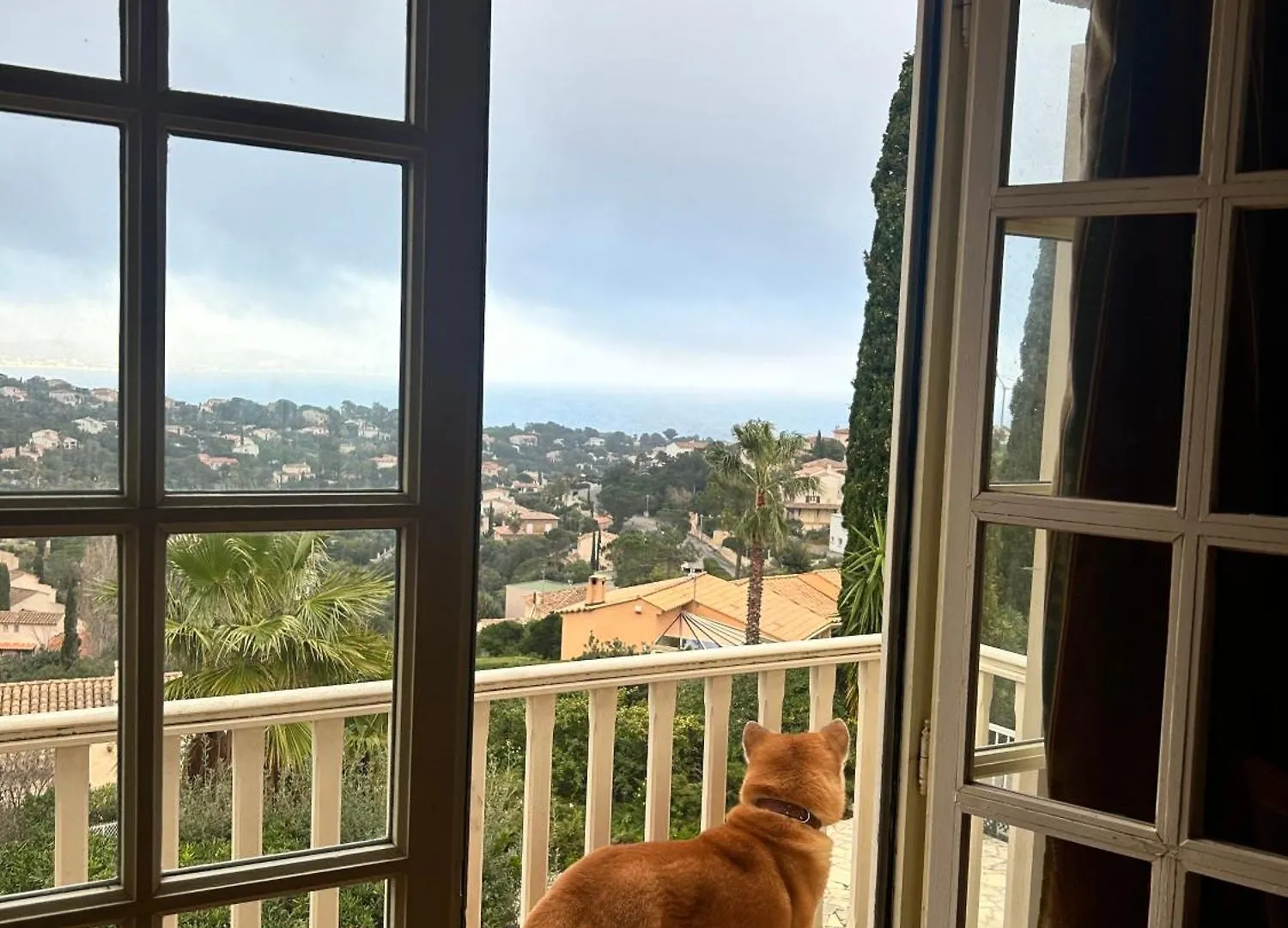 Les Cypres Villa Roquebrune-sur-Argens Frankrig